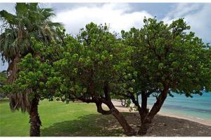 Beautiful Ground Floor! Corner! Just Steps To Ocean And Pool!120 Hotel Napili-Honokowai Buitenkant foto